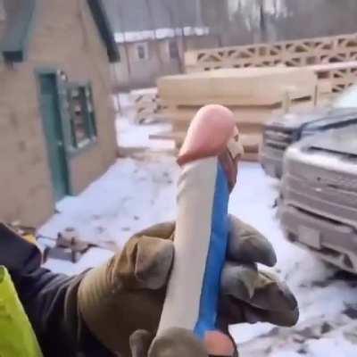 Jesus dildo: +5 faith, +5 attack vs undead, may be used to stab vampires in the heart. May grant user post nut clarity once per day (infra vision with detect evil). Must be pickpocketed from the nun in the backroom casting chamber of the cathedral.