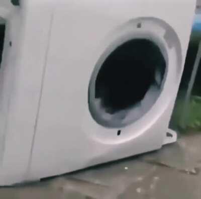 Когда купил не тот порошок