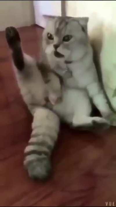 God, they removed something from me