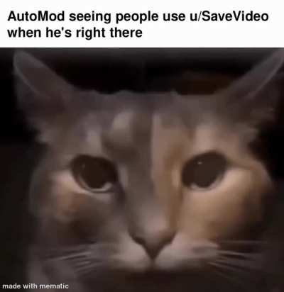 Is he not enough for you?