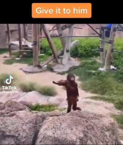 Give us a raise, loser