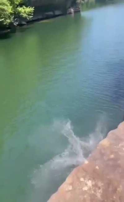 Not committing to a cliff jump