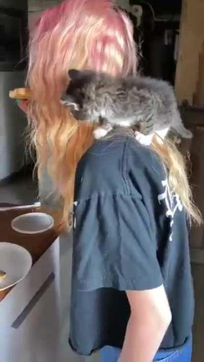 Oh lord he's climbin!