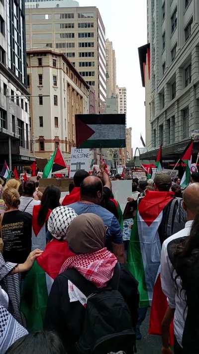 Sydney showed up today 🕊🇵🇸