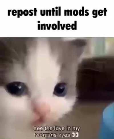 A little but of chicken fried