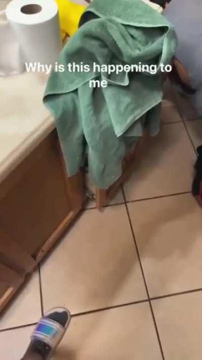 You’ll want the sound on for this one.