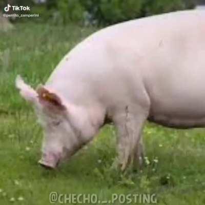 Hoy voy a convertirme