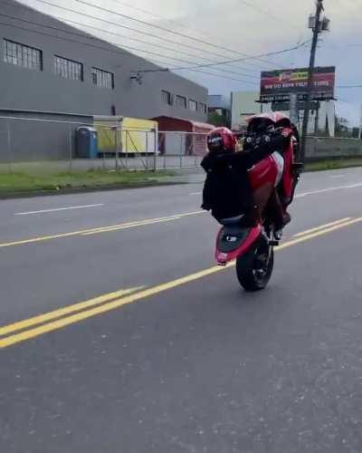 Little big bike flex