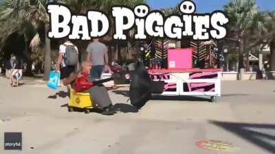 Bad Piggies Real World Version