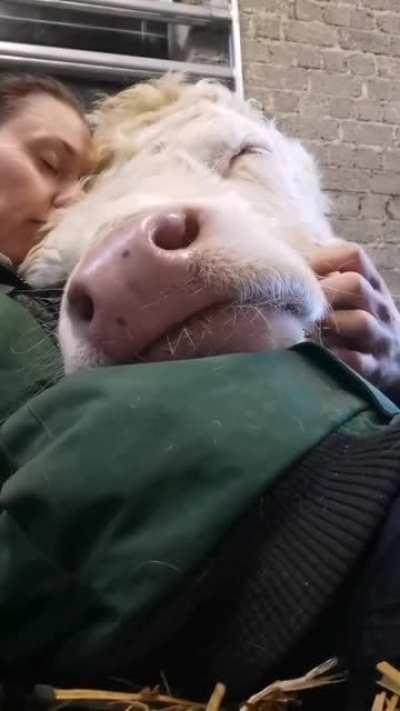 Auf dem Bauernhof findet sich immer jemand zu Kuscheln