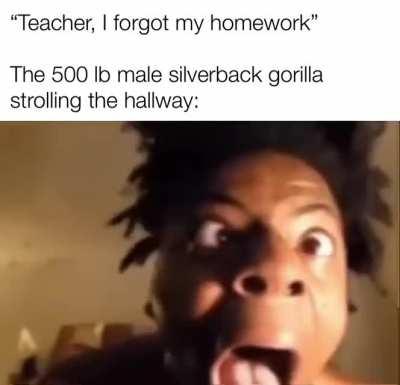 🦍