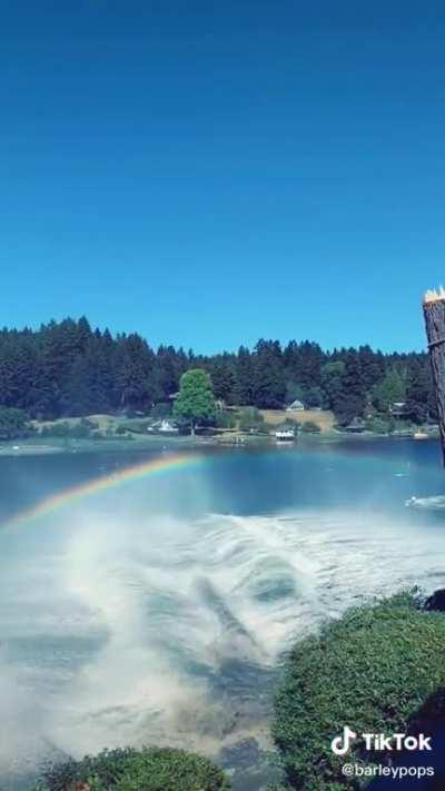 Купание твоей бывшей