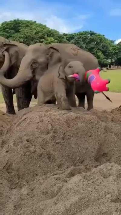 Baby Elephant brutalizes infant Unicorn in fit of rage.