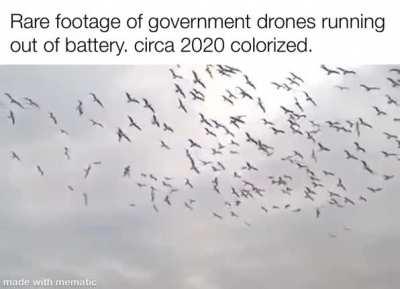 Proof in the palm of our hands