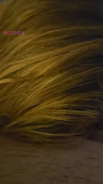 Spitting on my sissy before teasing her caged clit. 