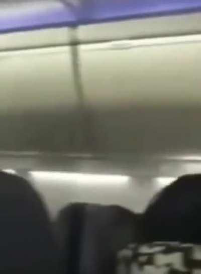 Oh no…their fate has been sealed😔