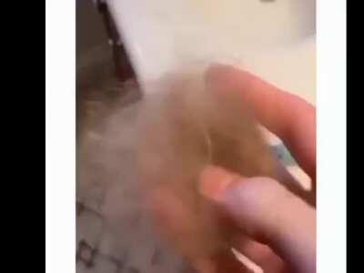 Getting tired of her shit