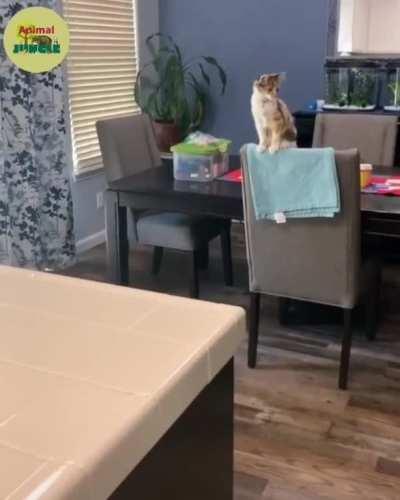 Woohoo! Good job! ❤