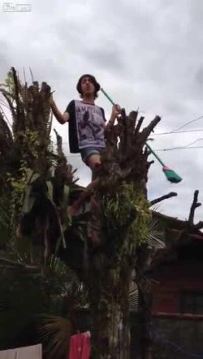 Singing Bruno Mars in a tree, WCGW?