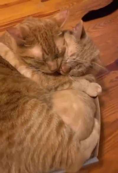 My and my bf after not being able to see each other for so long 💕