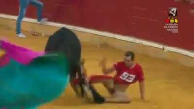 What could go wrong ... Bull v Man