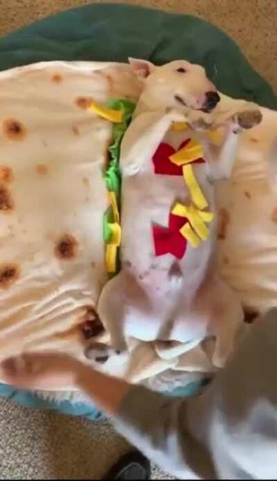 My compliments to the chef.