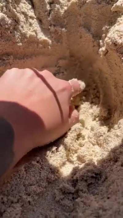 Never dig sand with your hands