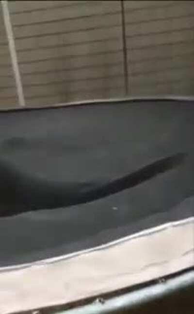 HMFT after i jump off this 20ft roof onto a trampoline