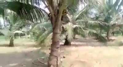 Want a fight? I’ll give you a fight