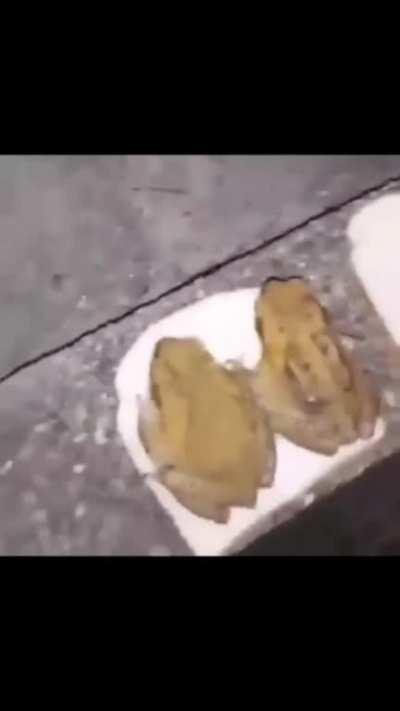 sandwich tutorial by Wilson