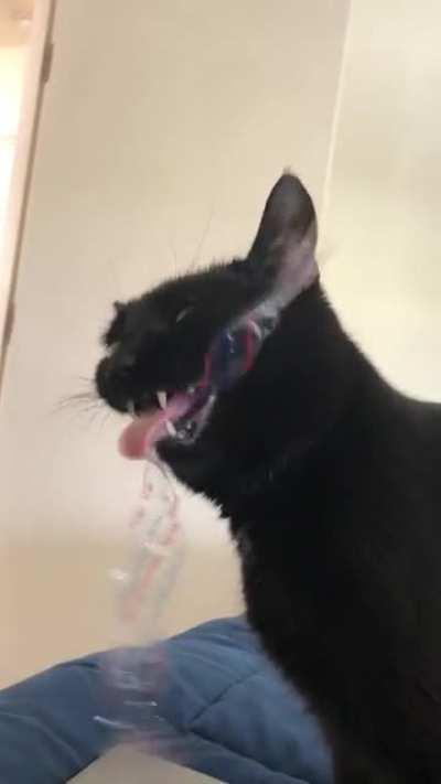 mmmm crunchy plastic