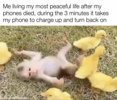 pls this is a cry for help I am addicted to the internets