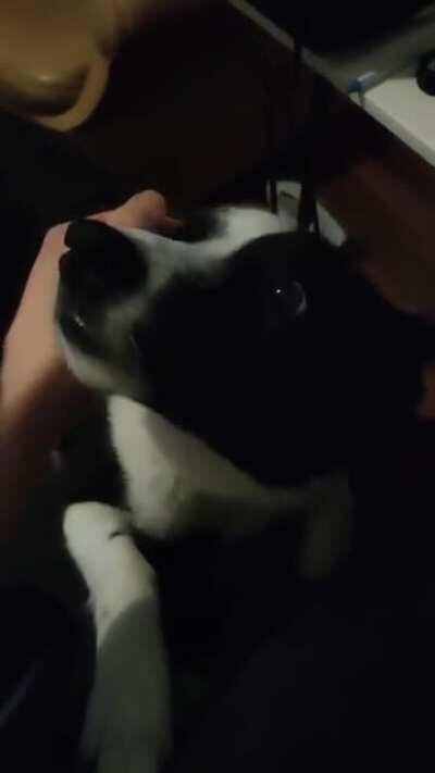 Your hints are too subtle, I dont understand what you would possibly want