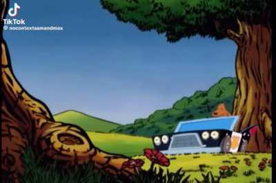 Don’t disturb the raccoons