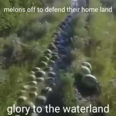 Sorry for getting too political 😫😫🥱😴