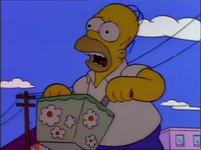 Homer Simpson has been trying to save for Castoria.