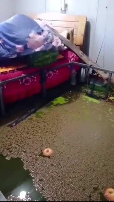 This is how a G-coupled protein receptor works