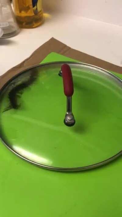 I’m just waiting for it to escape