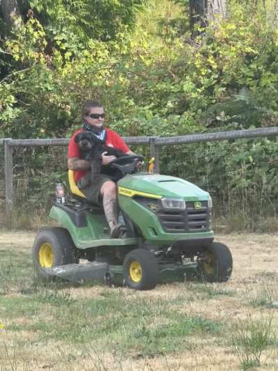 Lawnmower bro and annoying bro follows