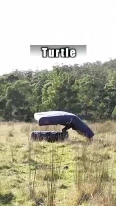 This reminds me of the 