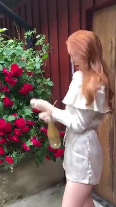 Pop goes the champagne