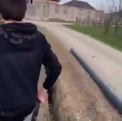 A Guy Help A Sheep Gets Stuck And Jumps Back In Ditch