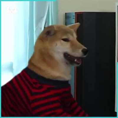 You said 5 more minutes!