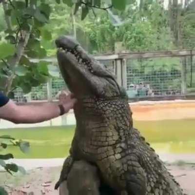 He likes it, so why not