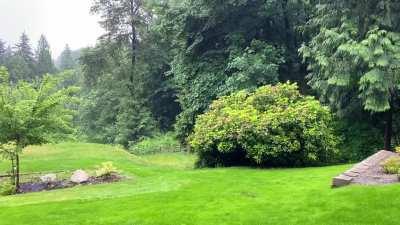 Peaceful Rainy Afternoon in Washington