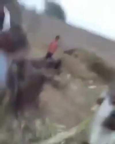 Você acredita na gravidade?