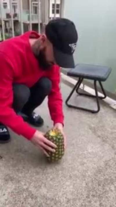 Фокус Покус Может быть