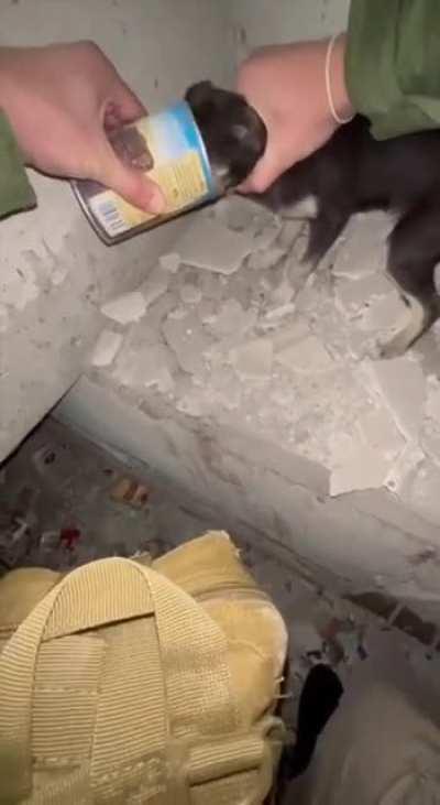 Ukrainian volunteers rescue a dog that got stuck during shelling in Bakhmut. Every life matters to these heroes