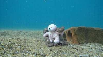 Octopus loves teddy bear