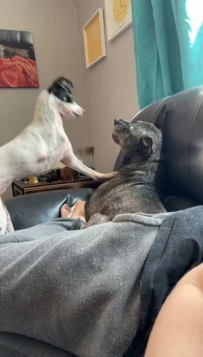 Pay attention to me!!